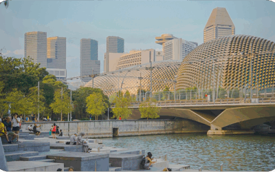 The Pillars of Disaster Resilience and Community Engagement